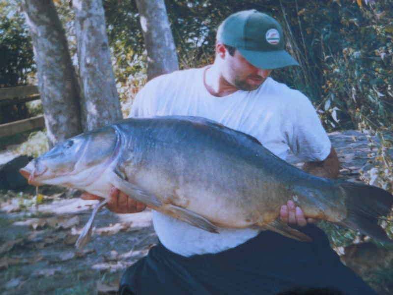 Carpa