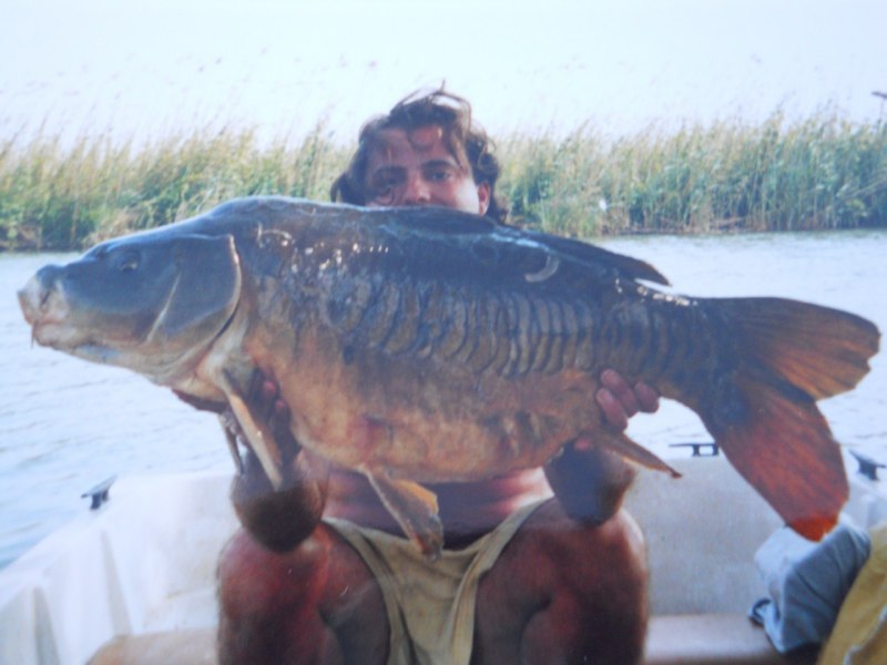 Carpa