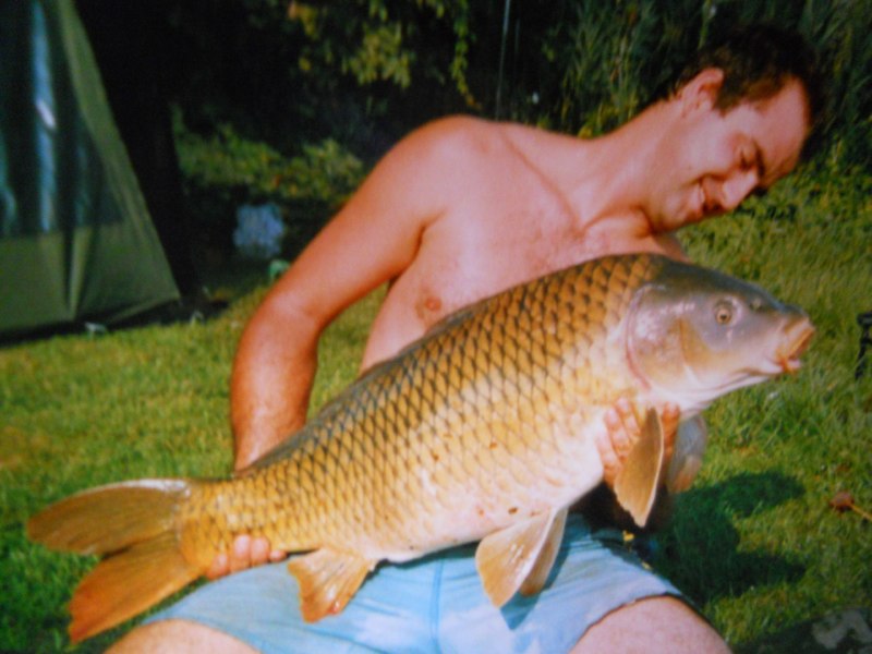 Carpa