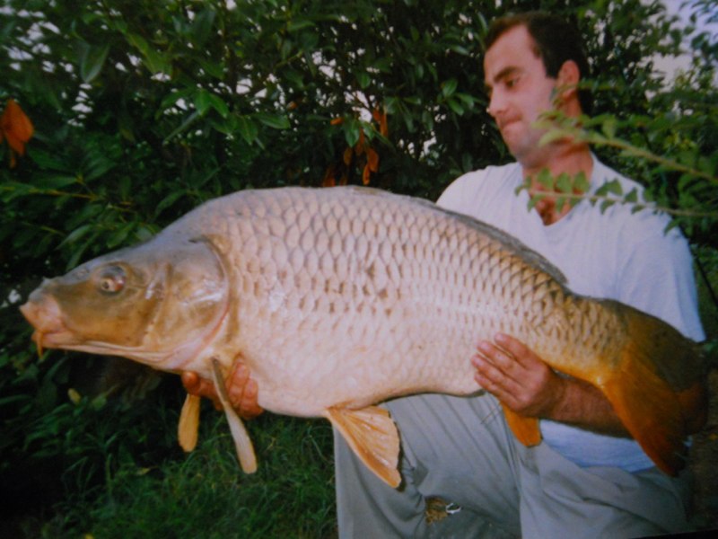 Carpa
