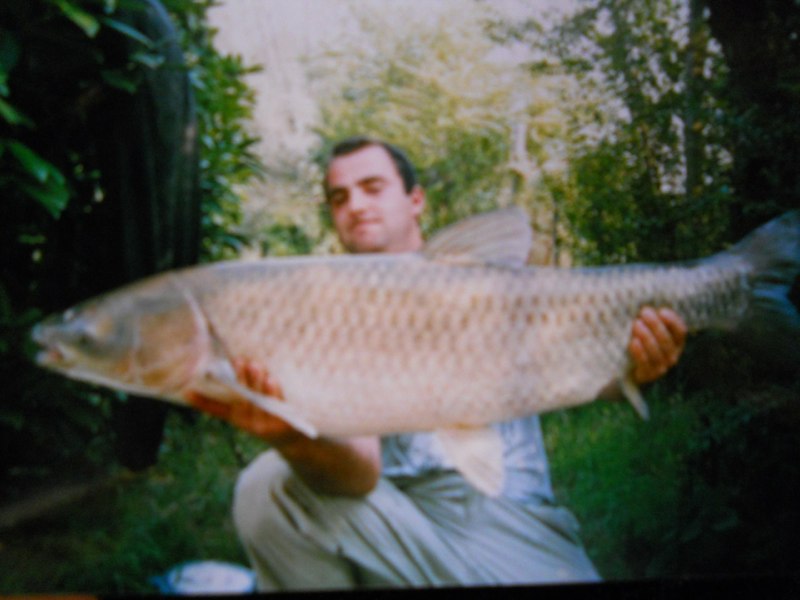 Carpa