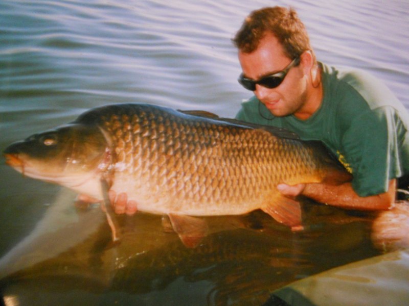 Carpa