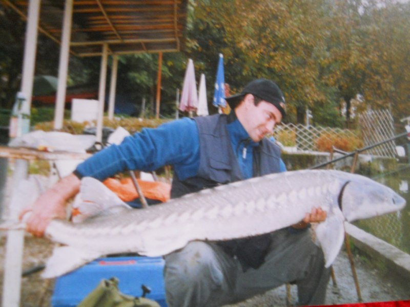 Carpa