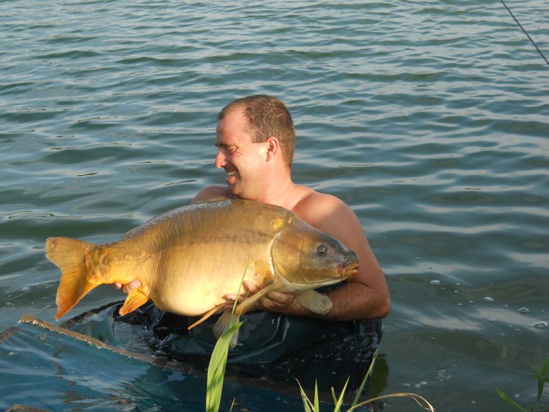 Carpa