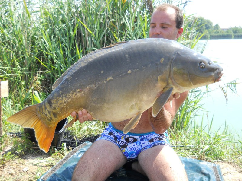Carpa