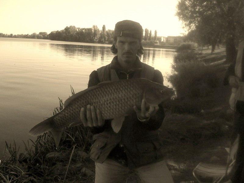 Carpa