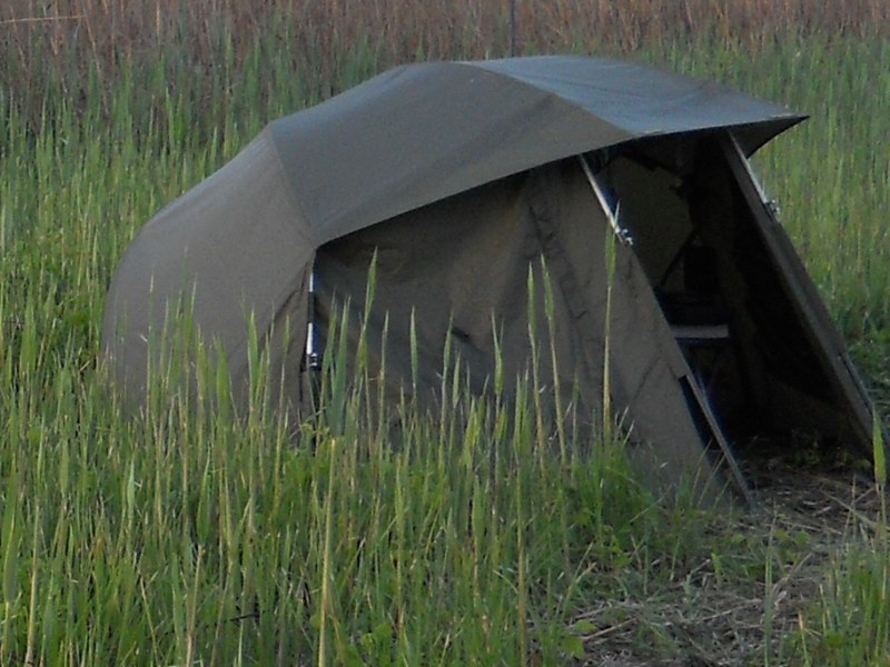Carpa