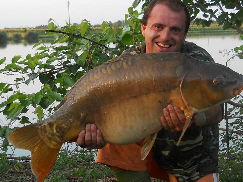 Carpa