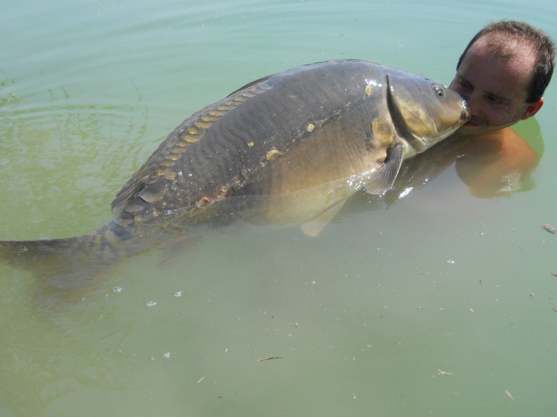 Carpa