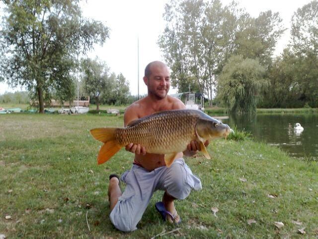 Carpa