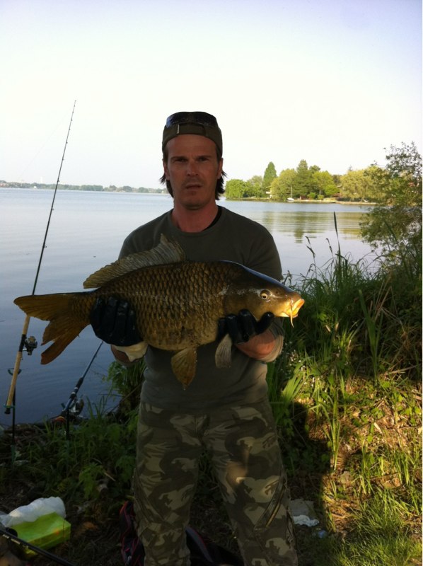 Carpa