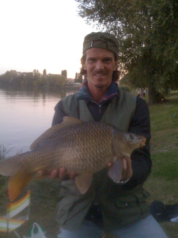 Carpa
