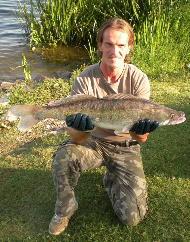 Carpa