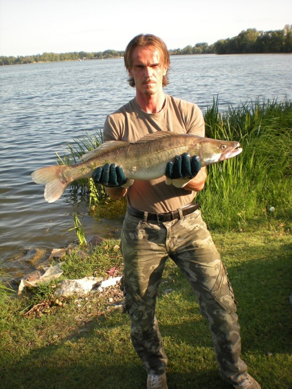 Carpa