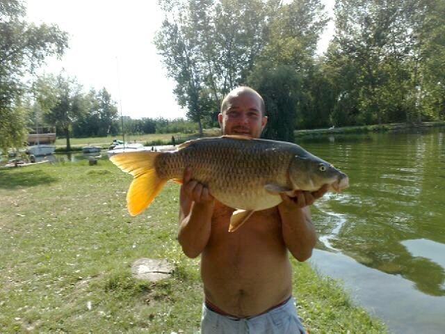 Carpa