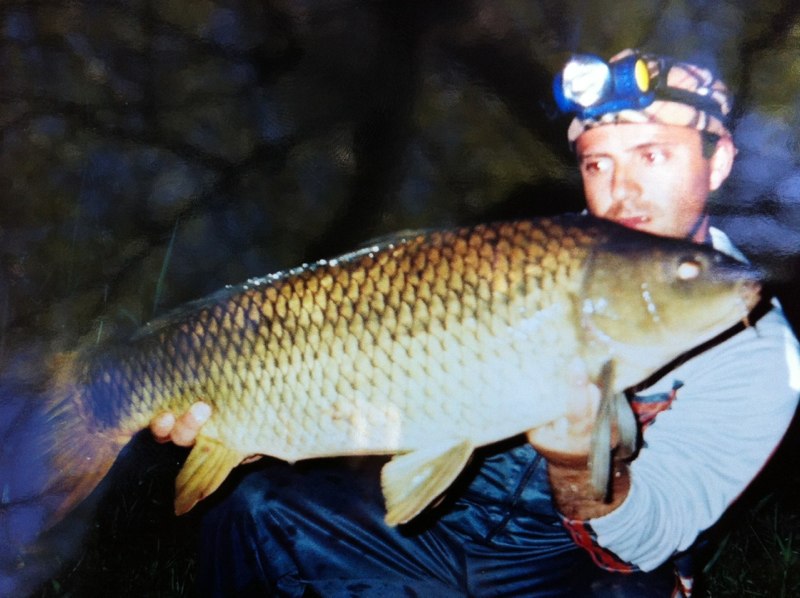 Carpa