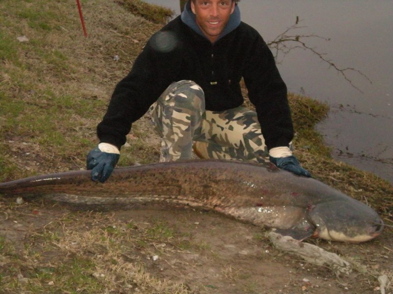 Siluro