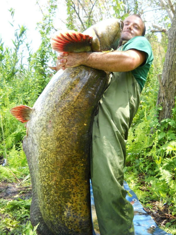 Siluro